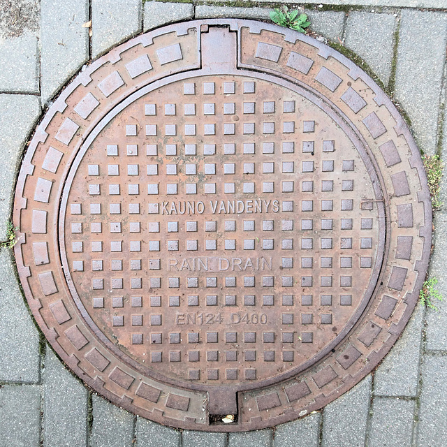 Regenwasser in Kaunas, Litauen