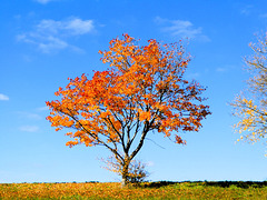 Herbst 2025 Herbst 2025