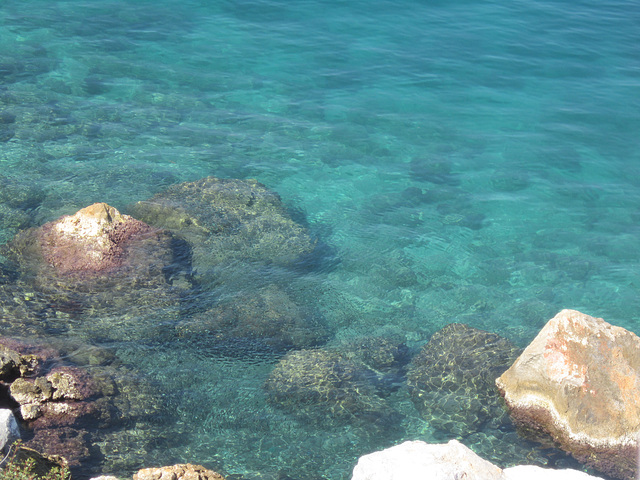 With the temperature hovering around 33C {96F} the temptation to jump in was immense