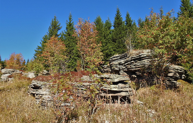 Harzer Brocken am Wurmberg