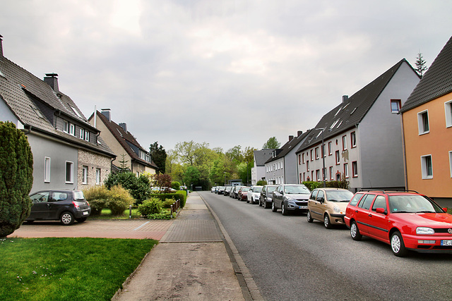 Damaschkestraße (Castrop-Rauxel-Ickern) / 23.04.2022