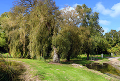 Un petit bout de France dans l'Essonne . Un petit bout de France dans l'Essonne .