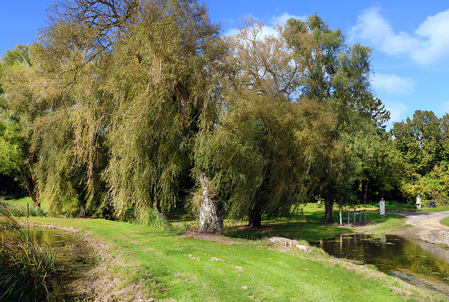 Un petit bout de France dans l'Essonne .