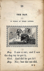 The Rat (1)