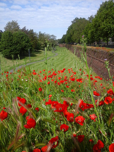 Mura farnesiane a primavera