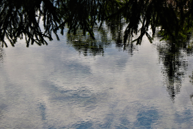 Spiegelung im Loisachtal