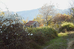 Era un bel giorno d'autunno