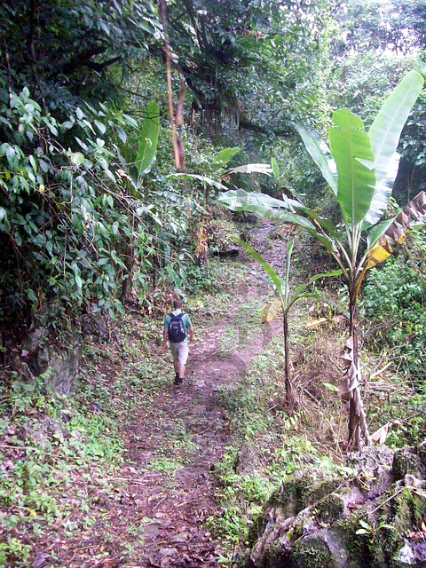 Caminant de Curimagua a Cabure- Estat de Falcón-Veneçuela