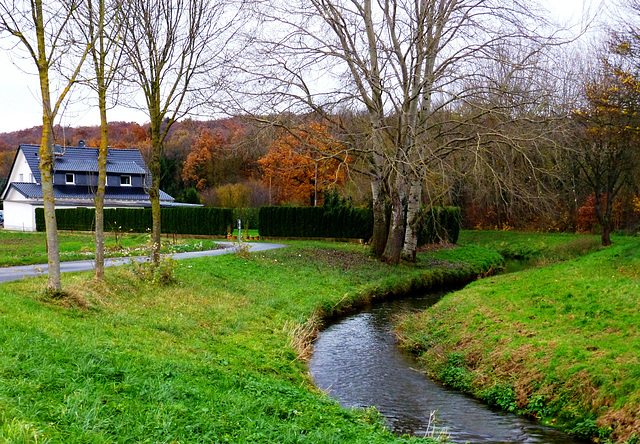 DE - Weilerswist - Autumn along the Swist