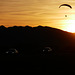 Paraglider in Sunset, Quartzsite, Arizona