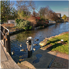 The Grand Union Canal in Berkhamsted