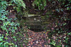 Vergittertes Stollenmundloch der ehem. Zeche Braunschweig (Witten-Bommern) / 14.09.2025