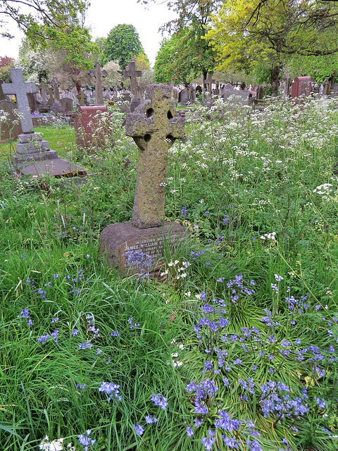 westminster cemetery, ealing, london