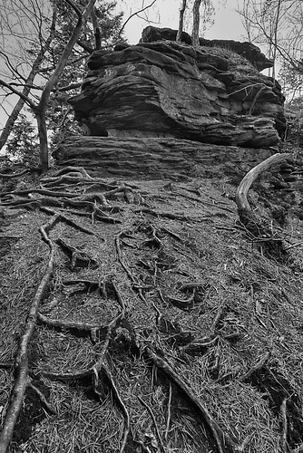 Sur le sentier des rochers Fleckenstein