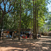 bei Angkor Thom (© Buelipix)