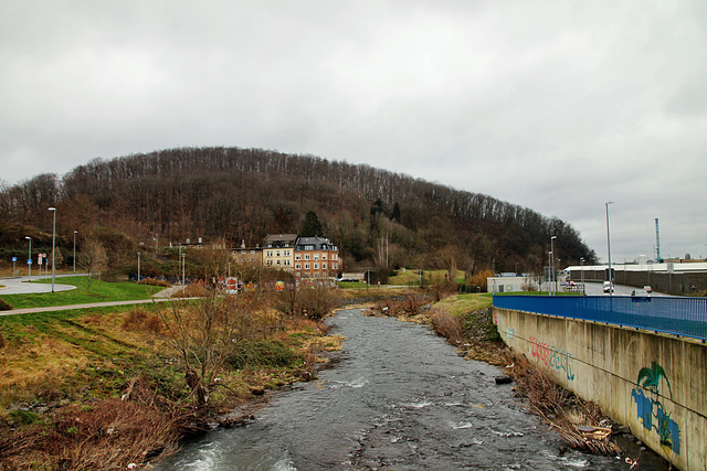 Ennepe neben der L700 (Hagen-Wehringhausen) / 29.01.2022