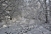 Winter walk at Strinesdale reservoir