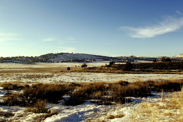 Farm fields