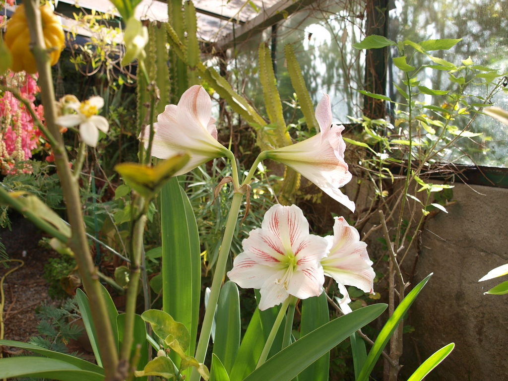 P5018330