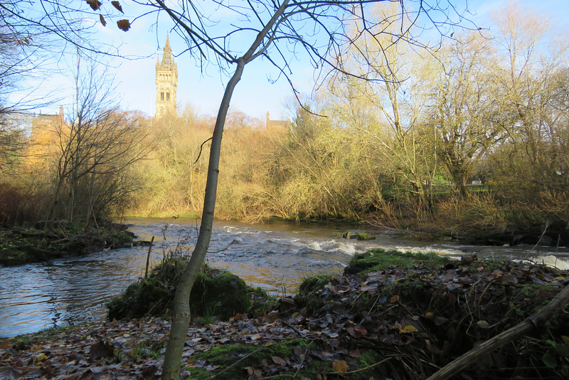 glasgow university