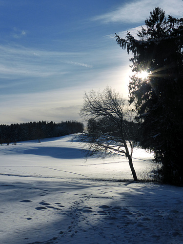 Spaziergang im Winter_02