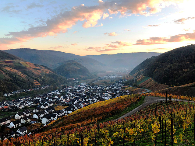 DE - Dernau - Weinberge im Herbst