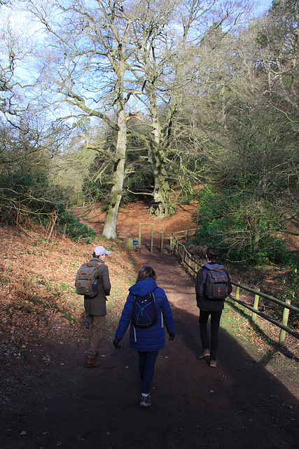 Hawkstone Park Follies