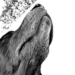 Den Frühling genießen...