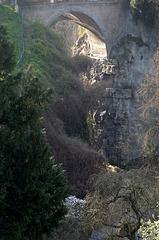 Nature sauvage au cœur de Paris