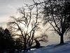 Spaziergang im Winter_03