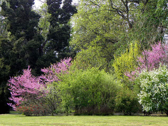 Colors of Spring