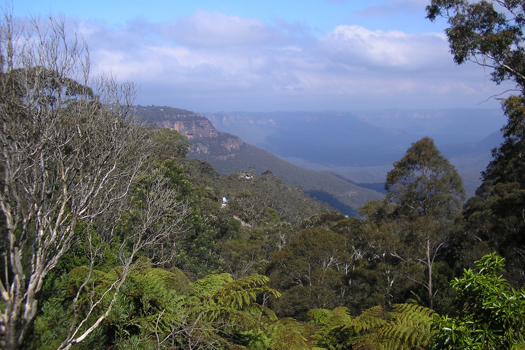 Blue Mountains View