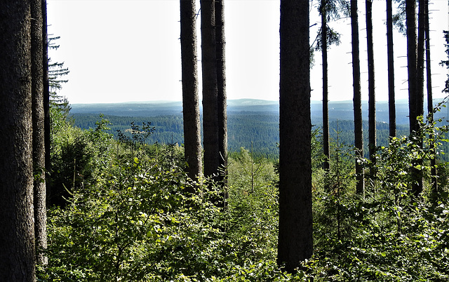 Weitblick Richtung Osten