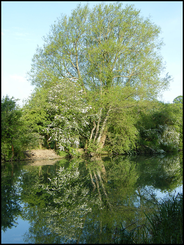 may reflection by the river