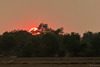 Sonnenuntergang bei Siem Reap (© Buelipix)