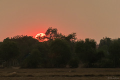 Sonnenuntergang bei Siem Reap (© Buelipix)