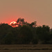 Sonnenuntergang bei Siem Reap (© Buelipix)