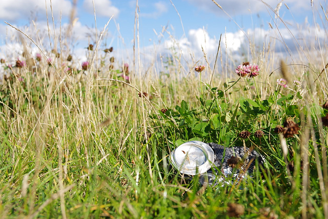 Trash In The Grass