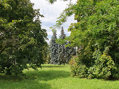 Arboretum de Chèvreloup