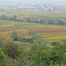 Blick auf St.Martin/Pfalz