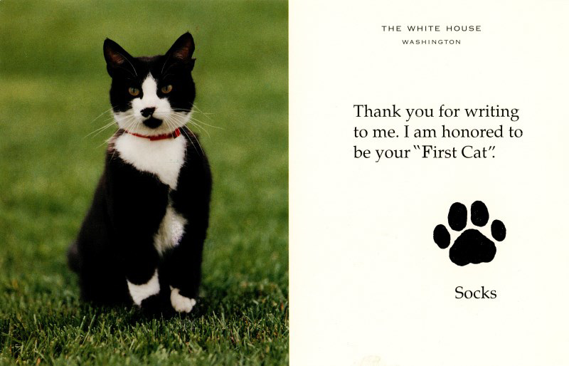 I Am Honored to Be Your First Cat—Socks