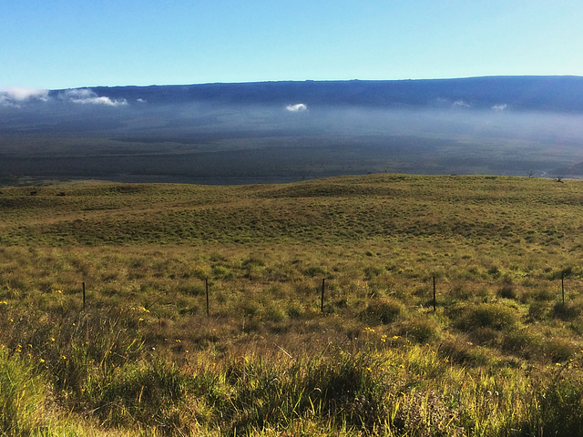 In the valley of mist