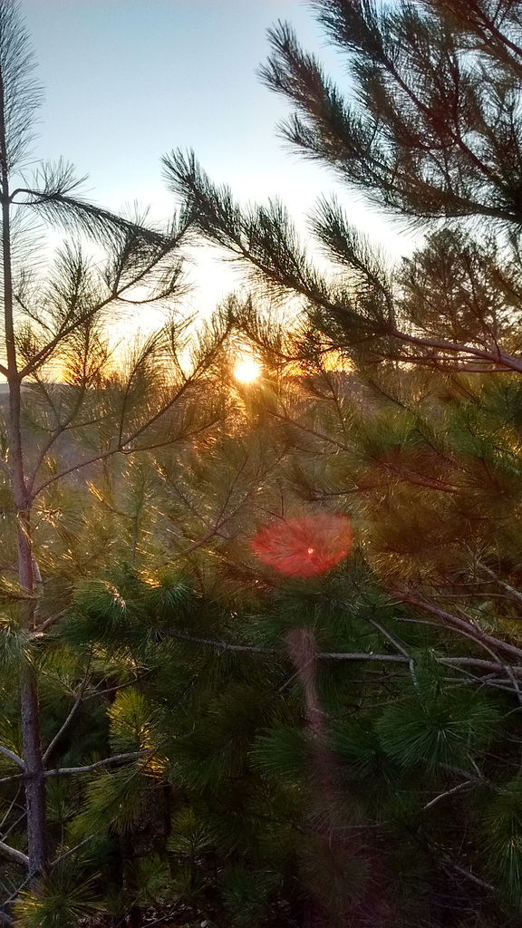 Un coucher un peu camouflé / Sunset slightly veiled