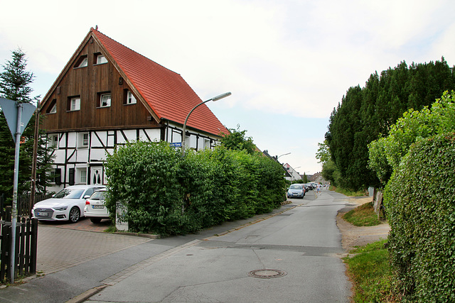 Rauher Kamp (Dortmund-Brechten) / 22.06.2019