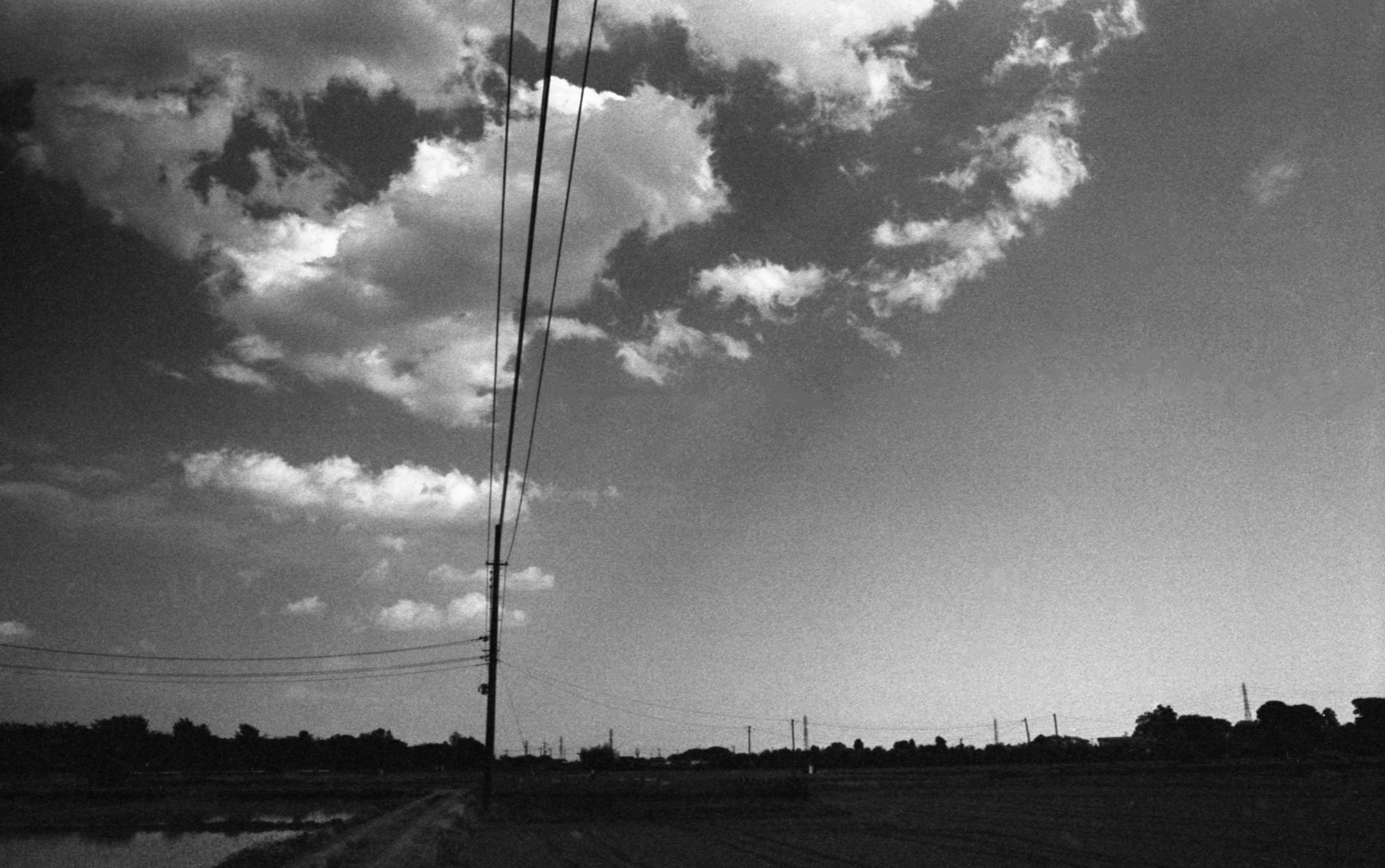 Clouds over paddy fields