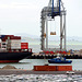 Auckland Harbour View