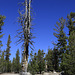 Trail to Upper Cathedral Lake