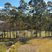 194/365 2025 golf course