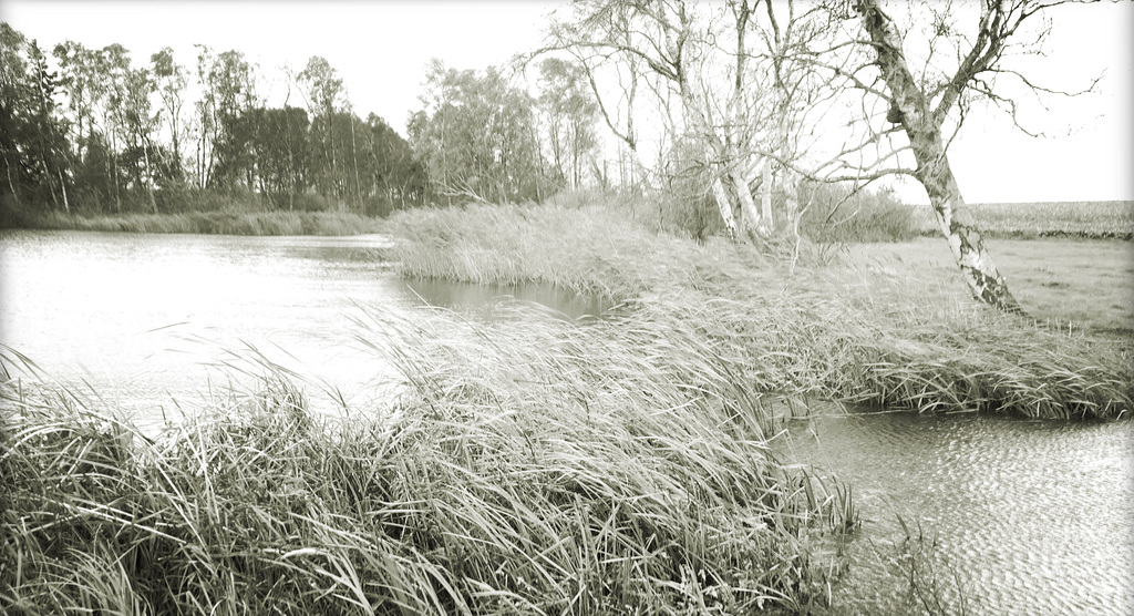 weiher  3850