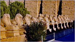 LUXOR : ingresso alla necropoli di Tebe